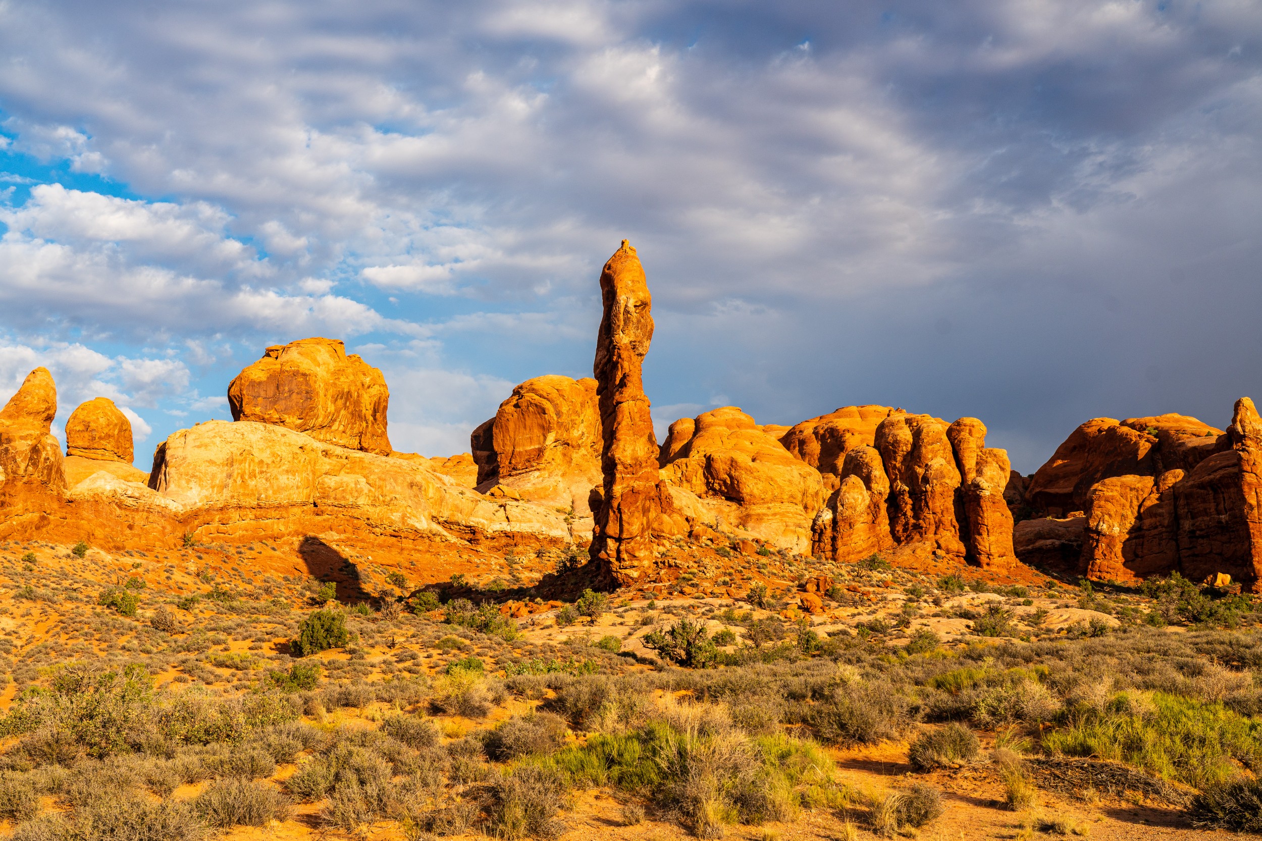 USA 2024 5 Sterne 106